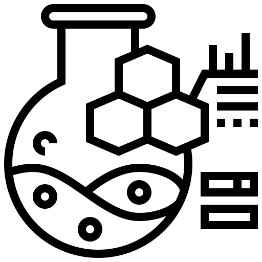 Programme Strength