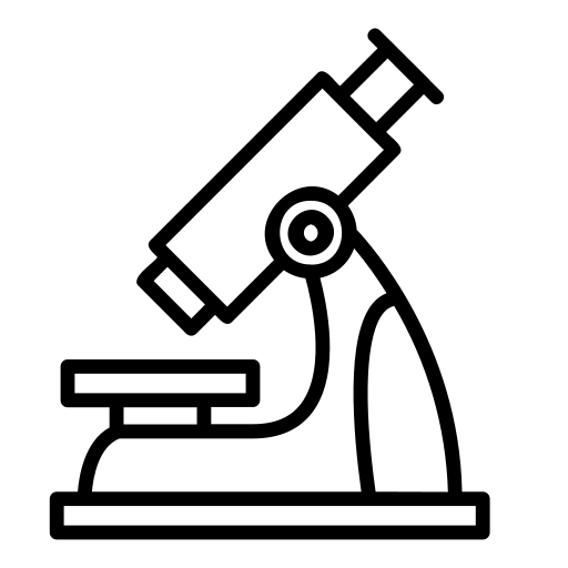 Programme Strength